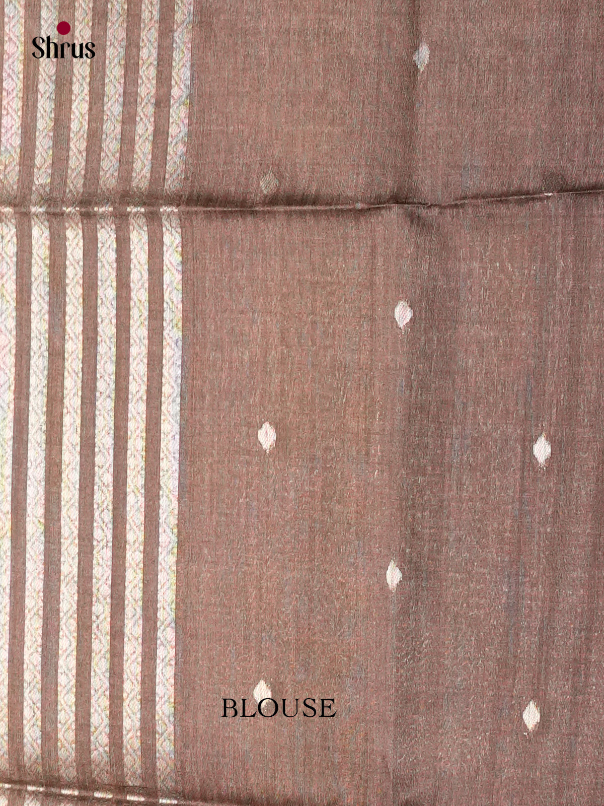Printed Semi Tussar Saree - ECS12058 - Shop on Shrus.com