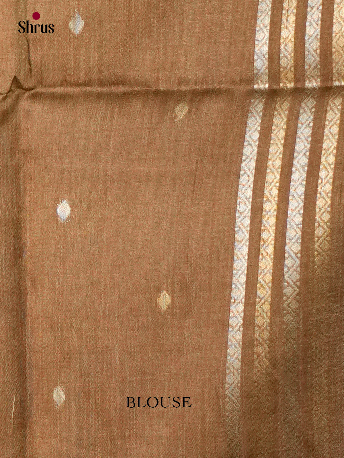 Printed Semi Tussar Saree - ECS12059 - Shop on Shrus.com