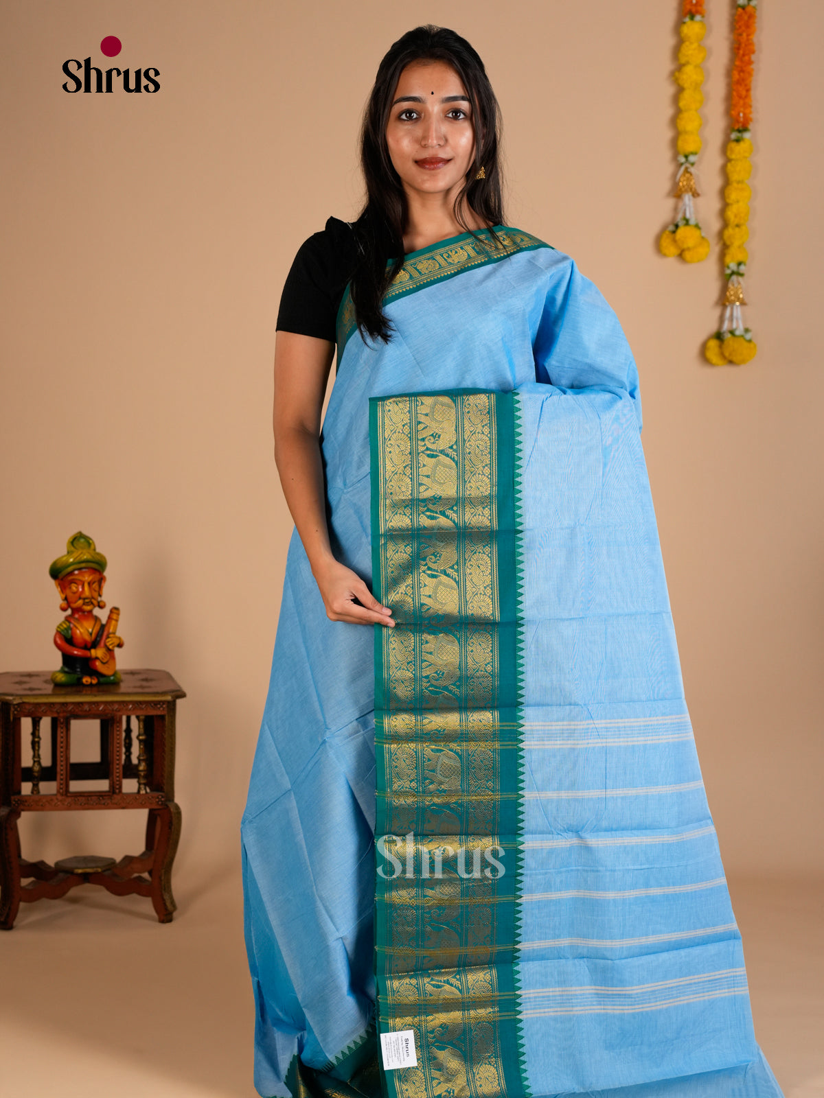 Chettinad Cotton Saree - ECS26113 - Shop on Shrus.com
