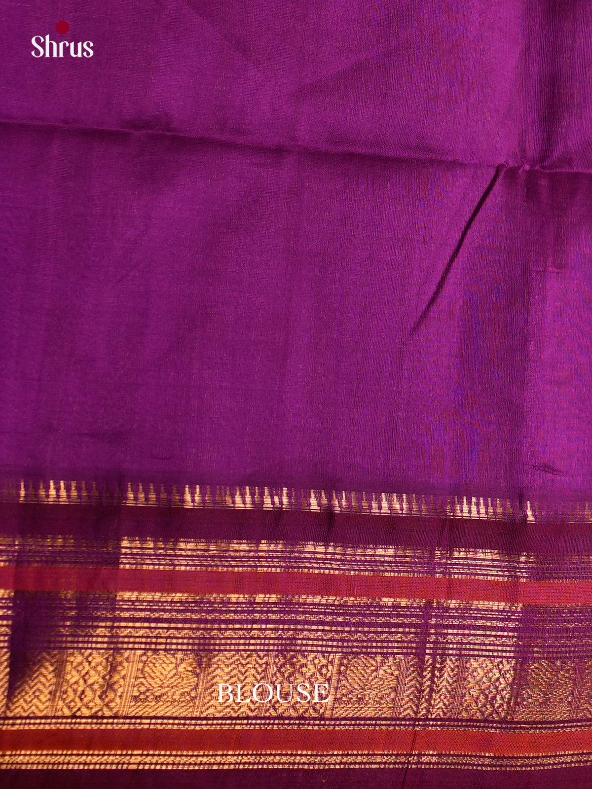Silk Cotton Saree - ECS27015 - Shop on Shrus.com