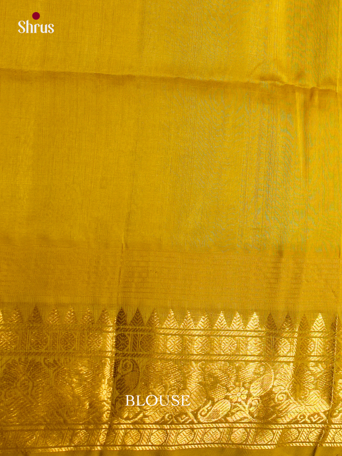 Silk Cotton Saree - ECS27019 - Shop on Shrus.com
