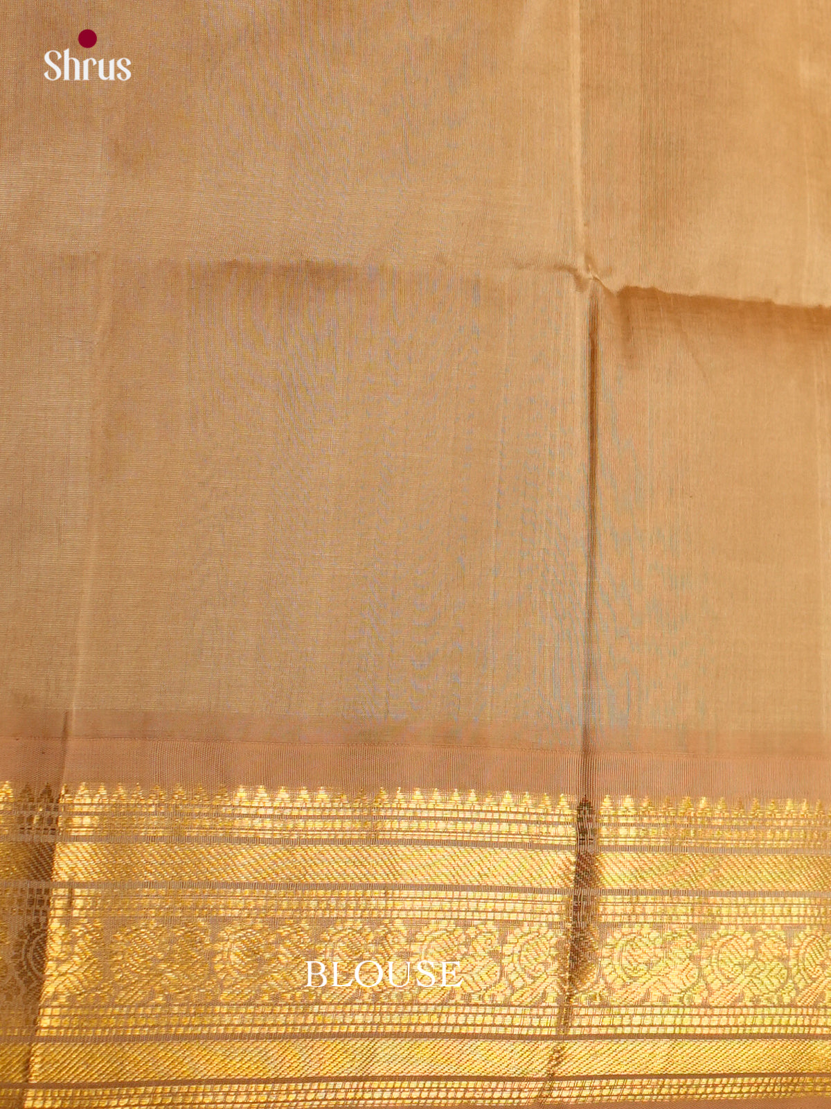 Silk Cotton Saree - ECS27021 - Shop on Shrus.com