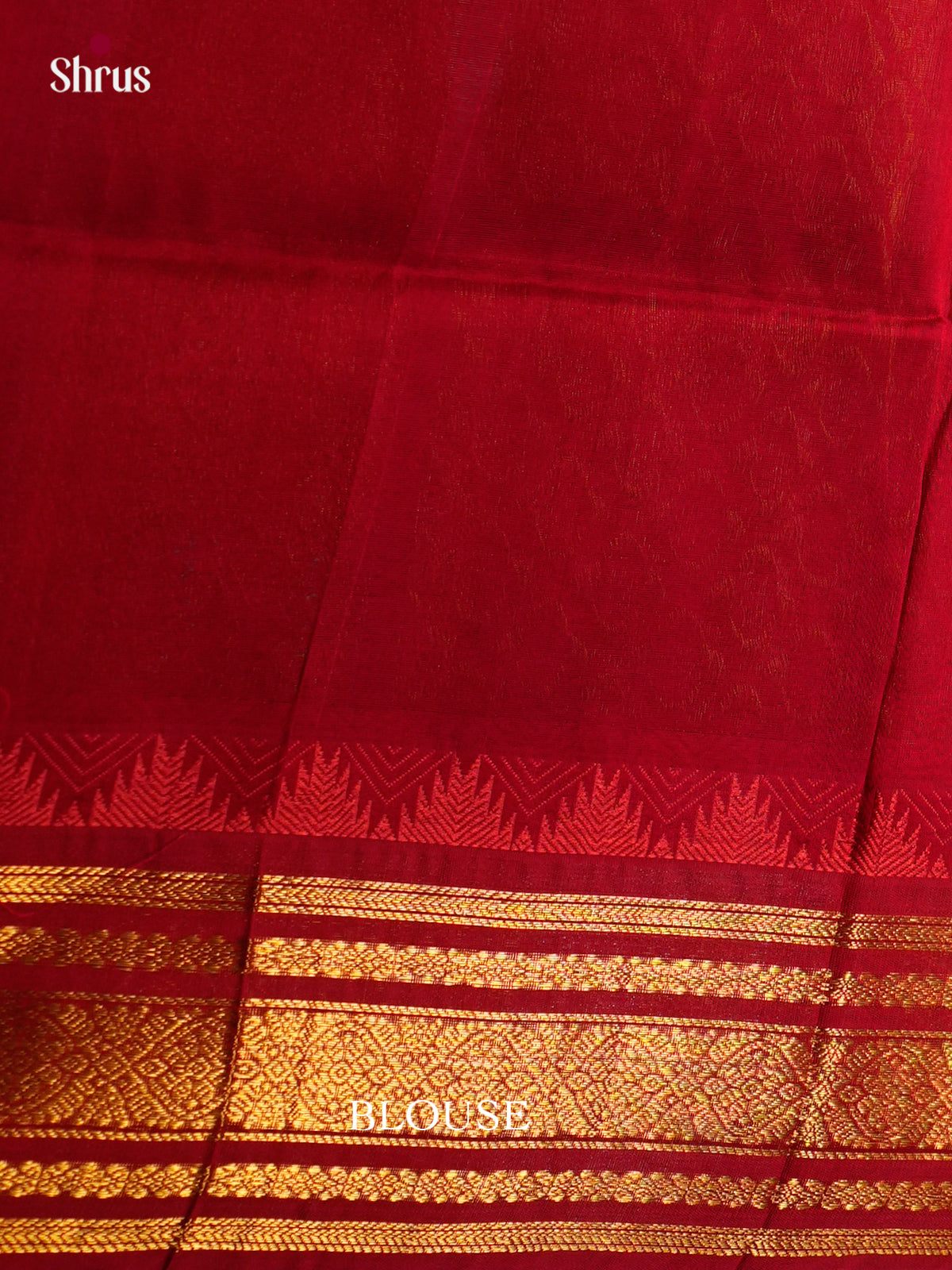 Silk Cotton Saree - ECS27022 - Shop on Shrus.com