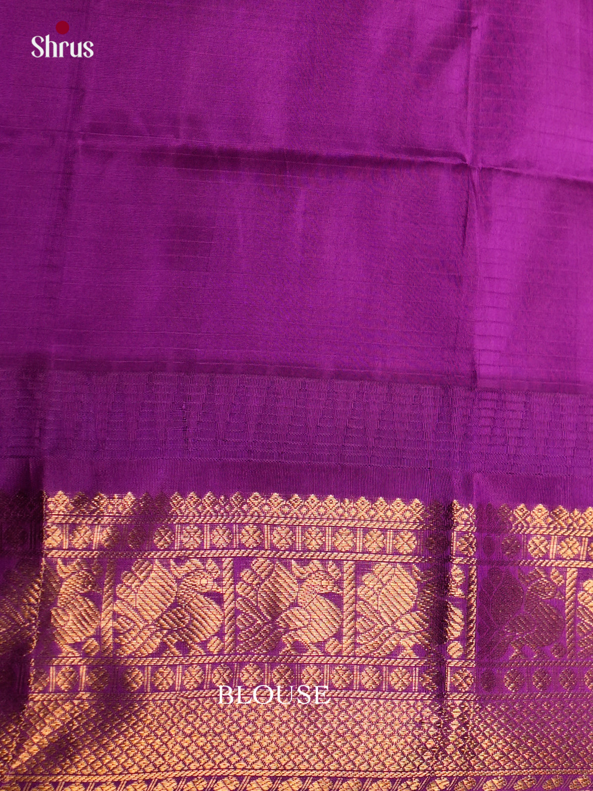 Silk Cotton Saree - ECS27032 - Shop on Shrus.com
