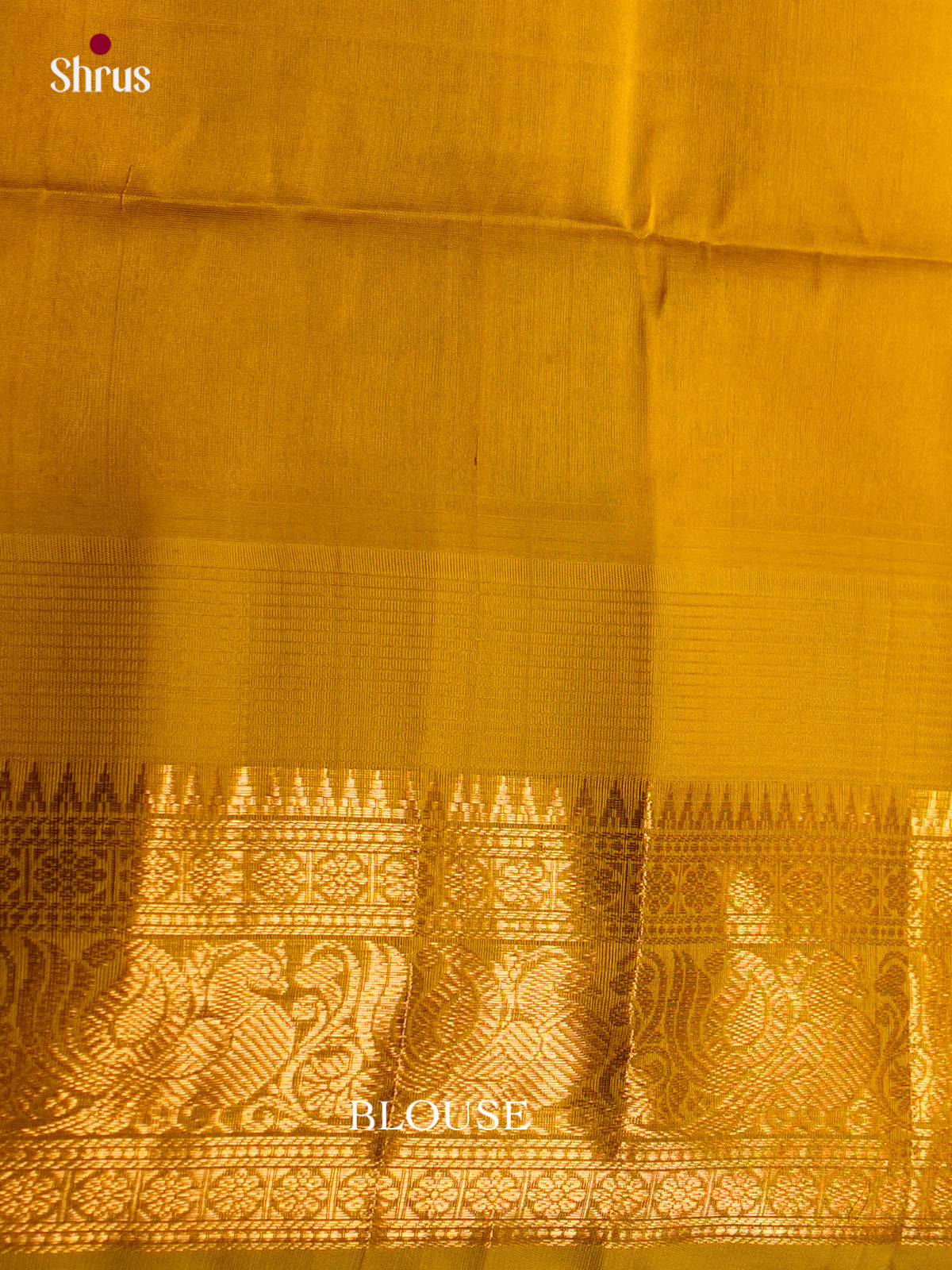 Silk Cotton Saree - ECS27038 - Shop on Shrus.com