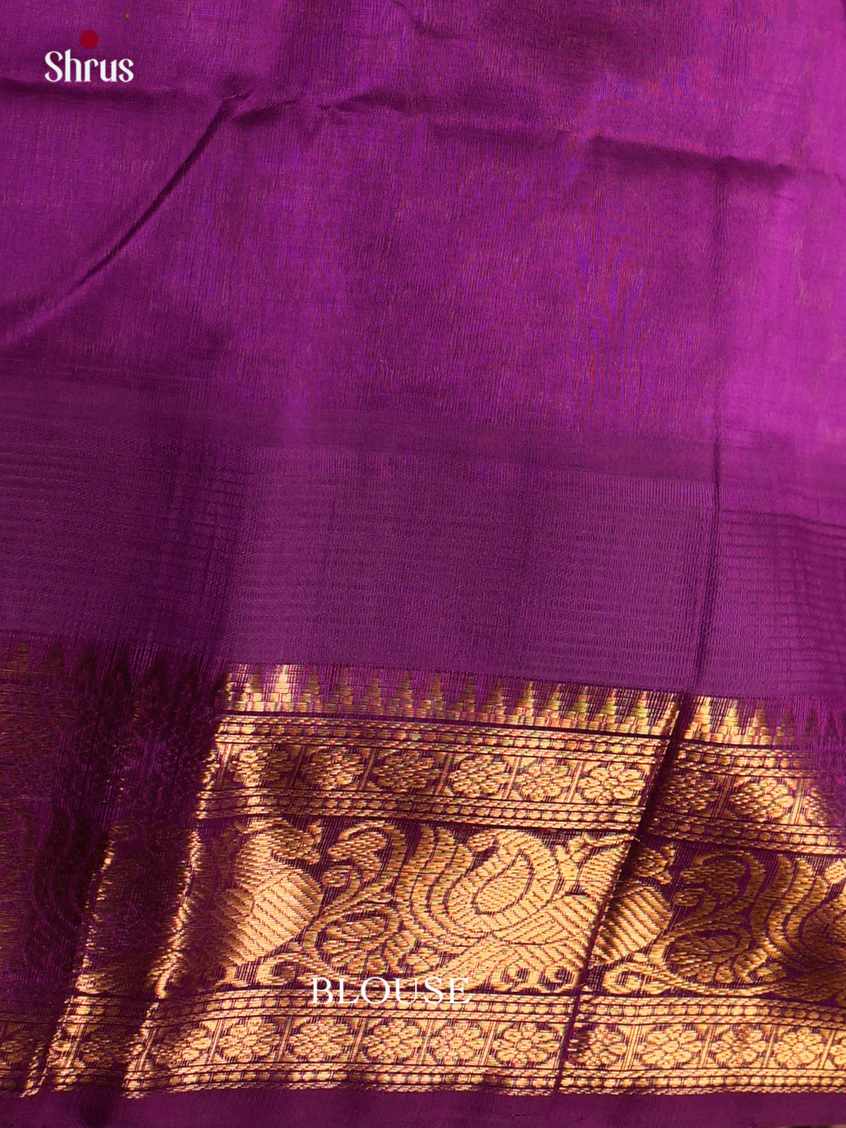 Silk Cotton Saree - ECS27040 - Shop on Shrus.com