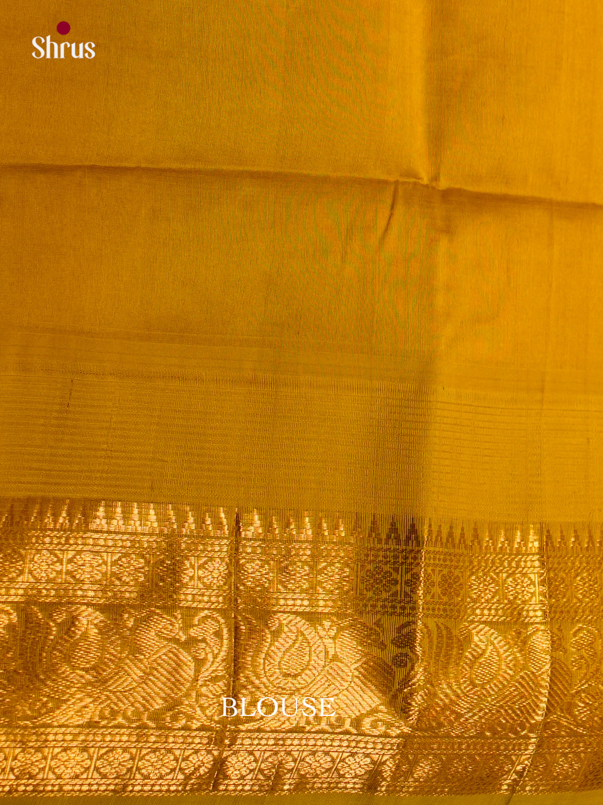 Silk Cotton Saree - ECS27043 - Shop on Shrus.com
