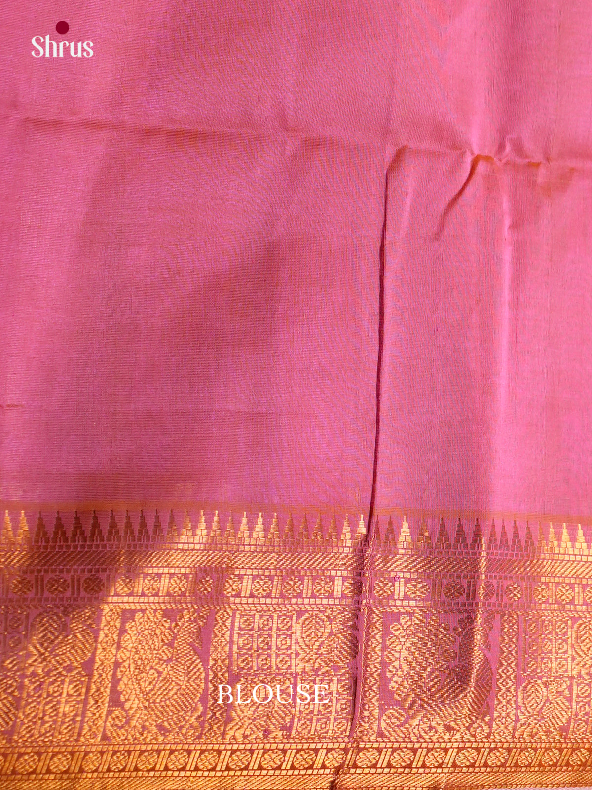 Silk Cotton Saree - ECS27056 - Shop on Shrus.com
