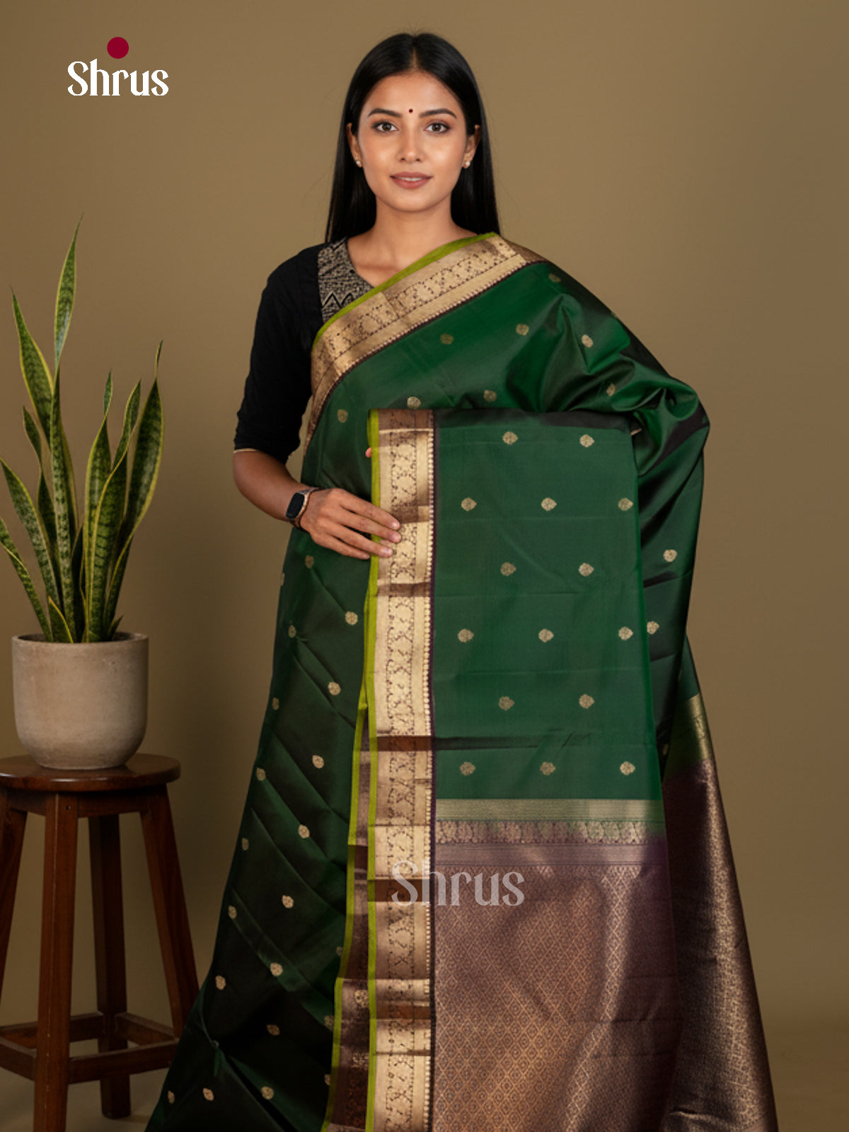 Kanchipuram silk Saree - EDS04015 - Shop on Shrus.com