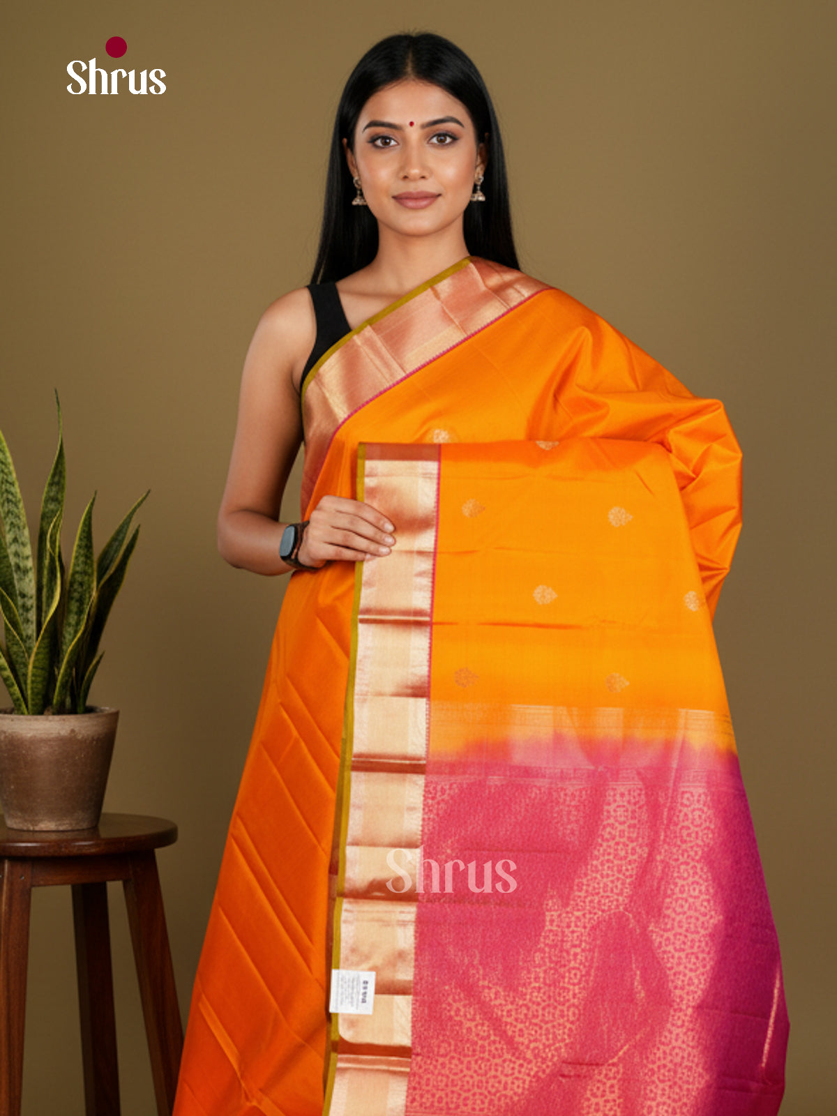 Kanchipuram silk Saree - EDS04022 - Shop on Shrus.com