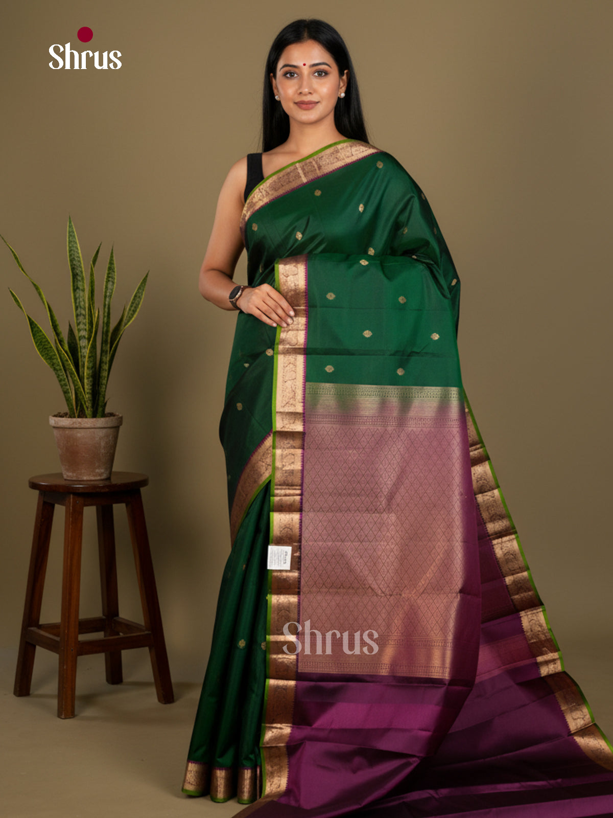 Kanchipuram silk Saree - EDS04031 - Shop on Shrus.com