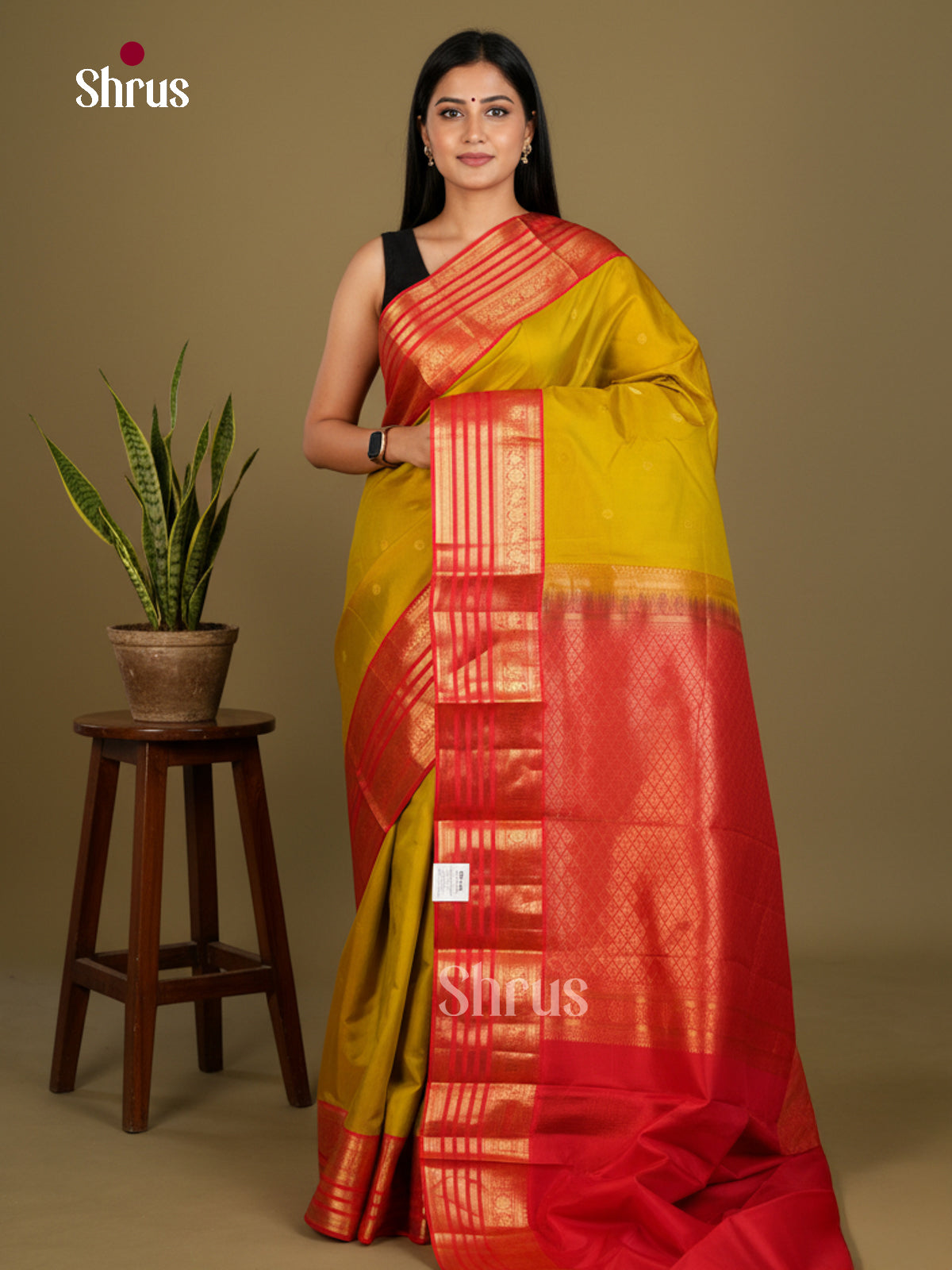 Kanchipuram silk Saree - EDS04088 - Shop on Shrus.com
