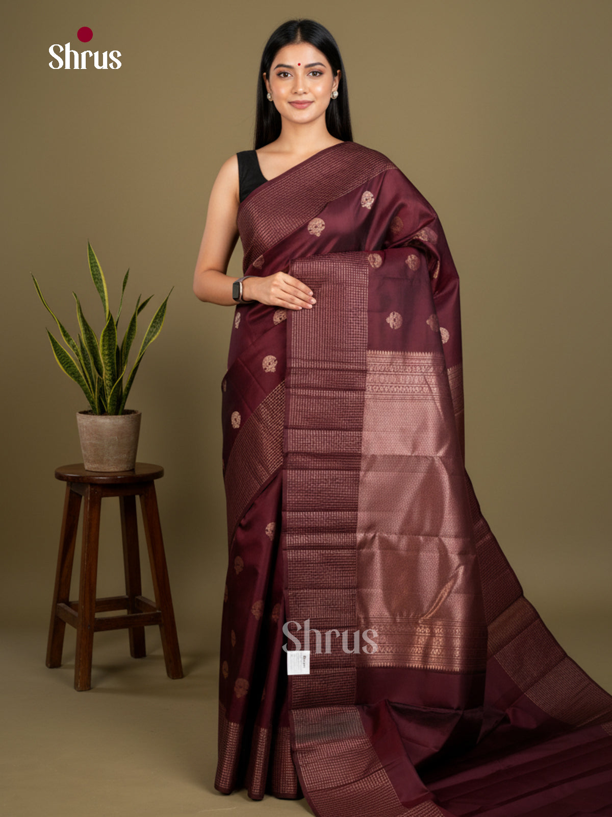 Kanchipuram silk Saree - EDS04094 - Shop on Shrus.com