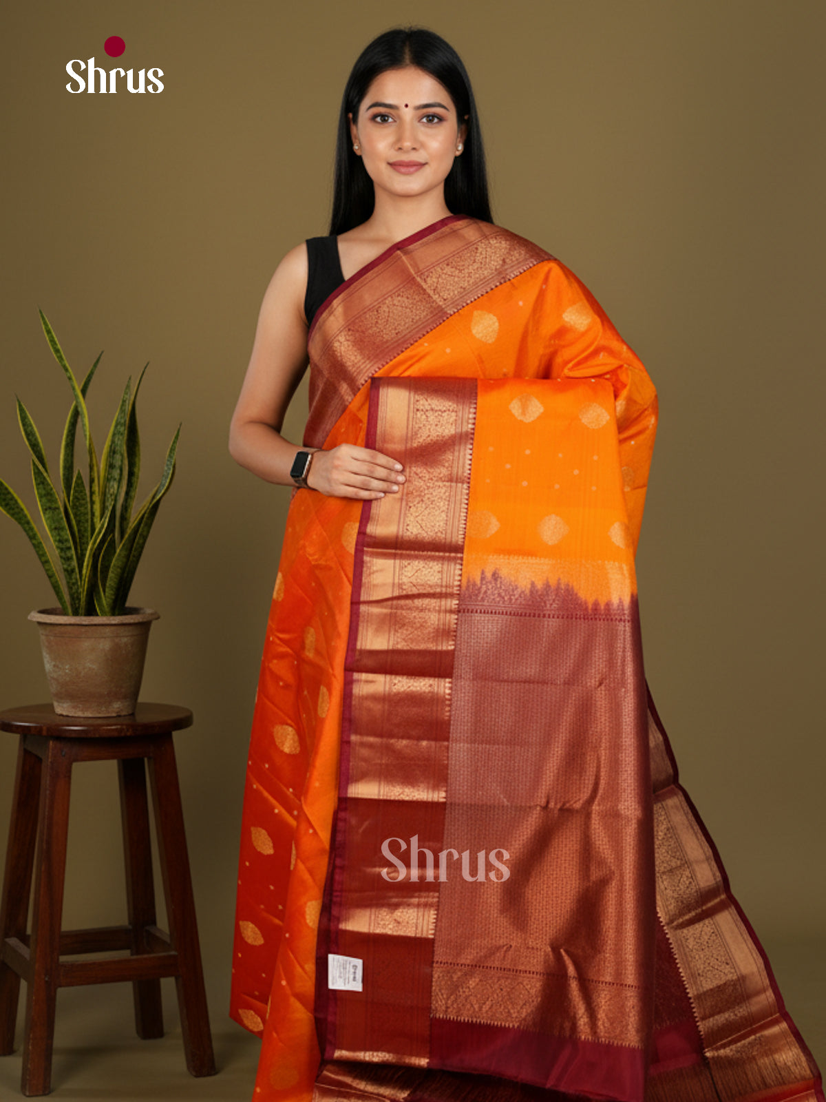 Kanchipuram silk Saree - EDS04112 - Shop on Shrus.com