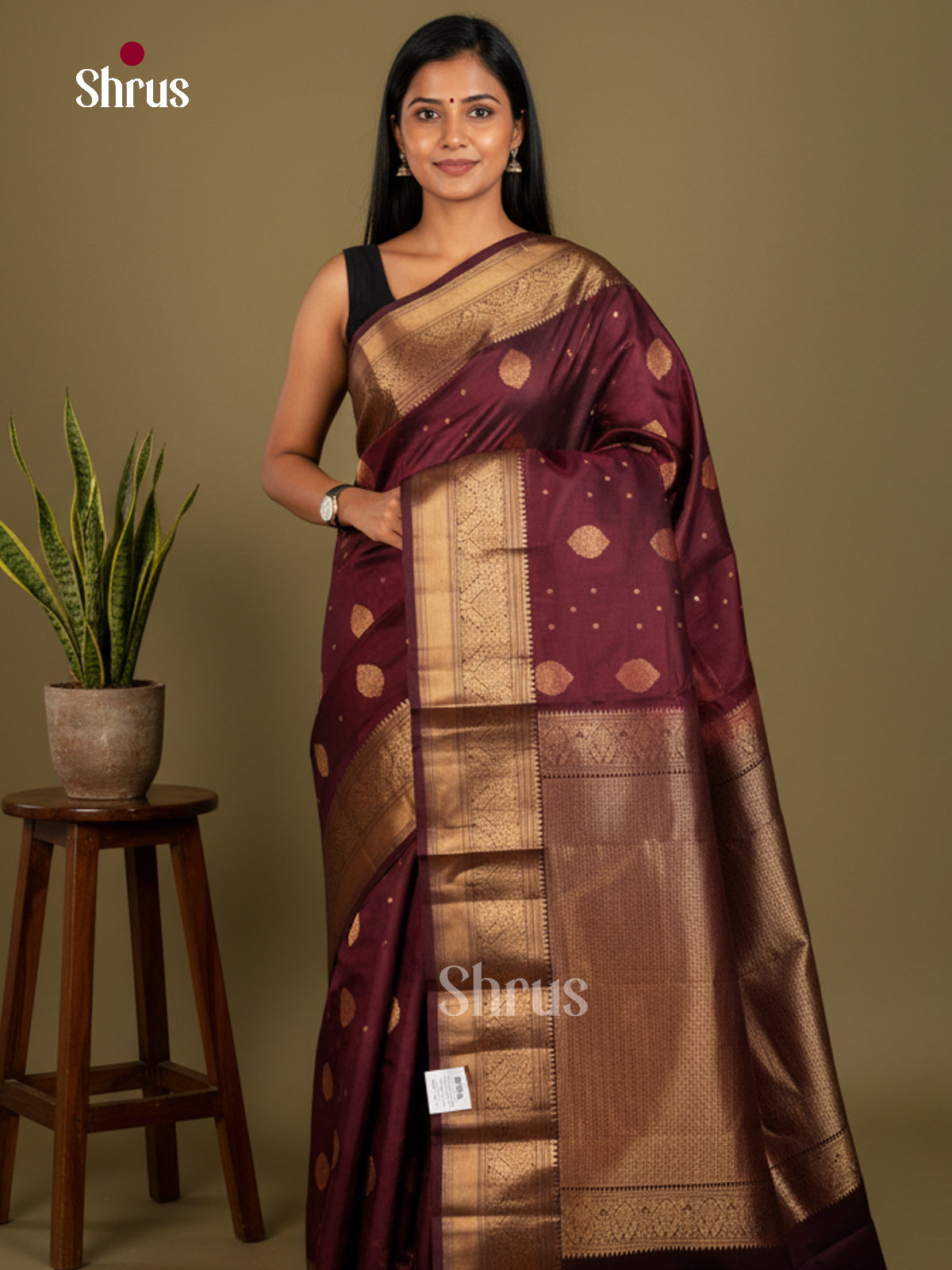 Kanchipuram silk Saree - EDS04114 - Shop on Shrus.com