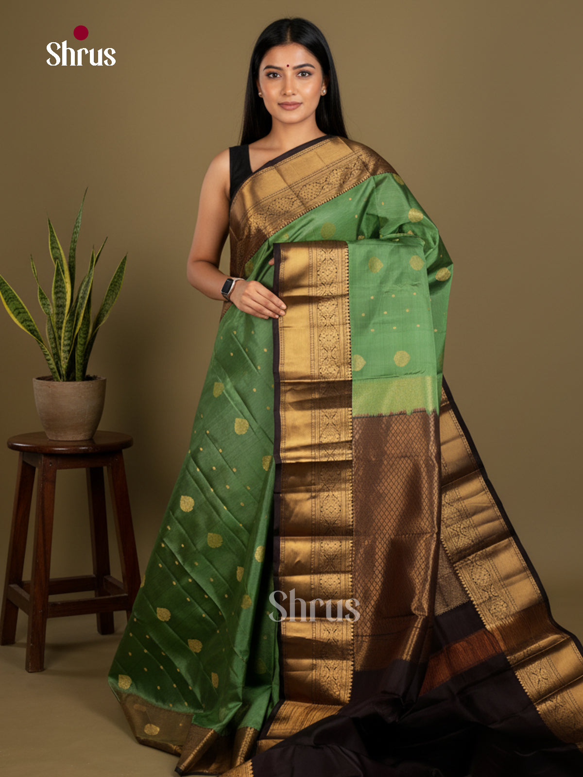 Kanchipuram silk Saree - EDS04115 - Shop on Shrus.com