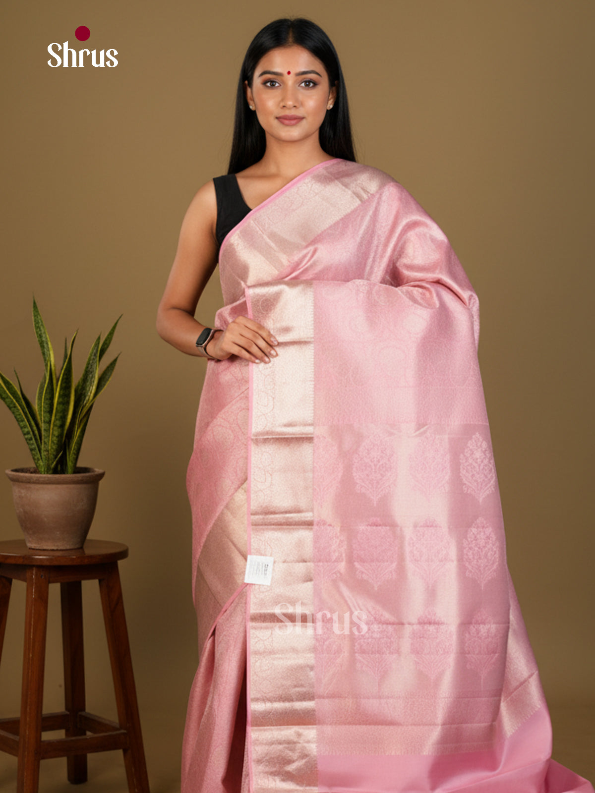 Kanchipuram silk Saree - EDS04151 - Shop on Shrus.com