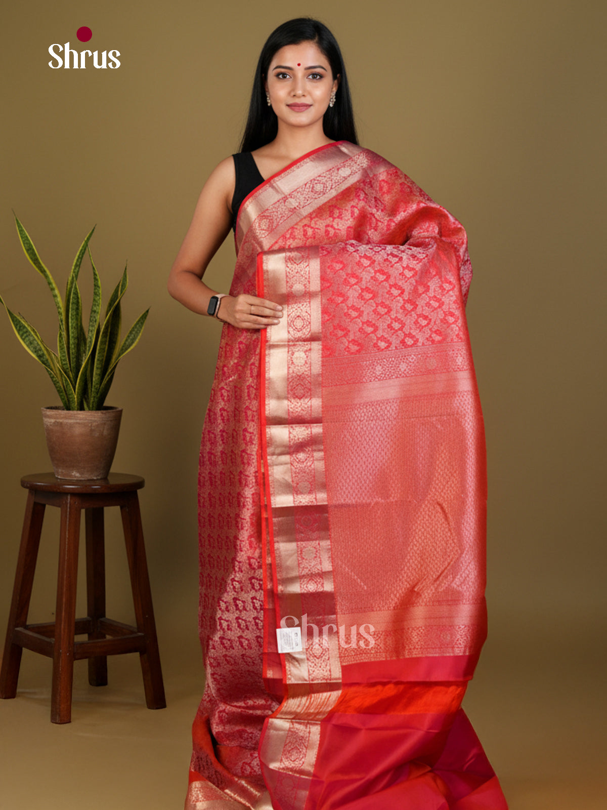Kanchipuram silk Saree - EDS04153 - Shop on Shrus.com