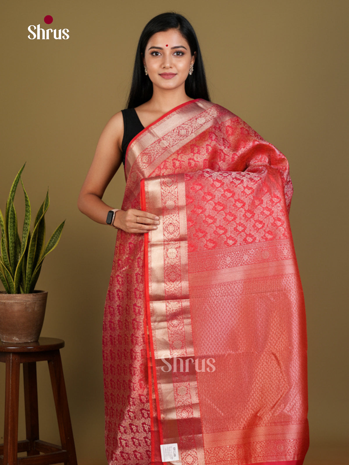 Kanchipuram silk Saree - EDS04153 - Shop on Shrus.com