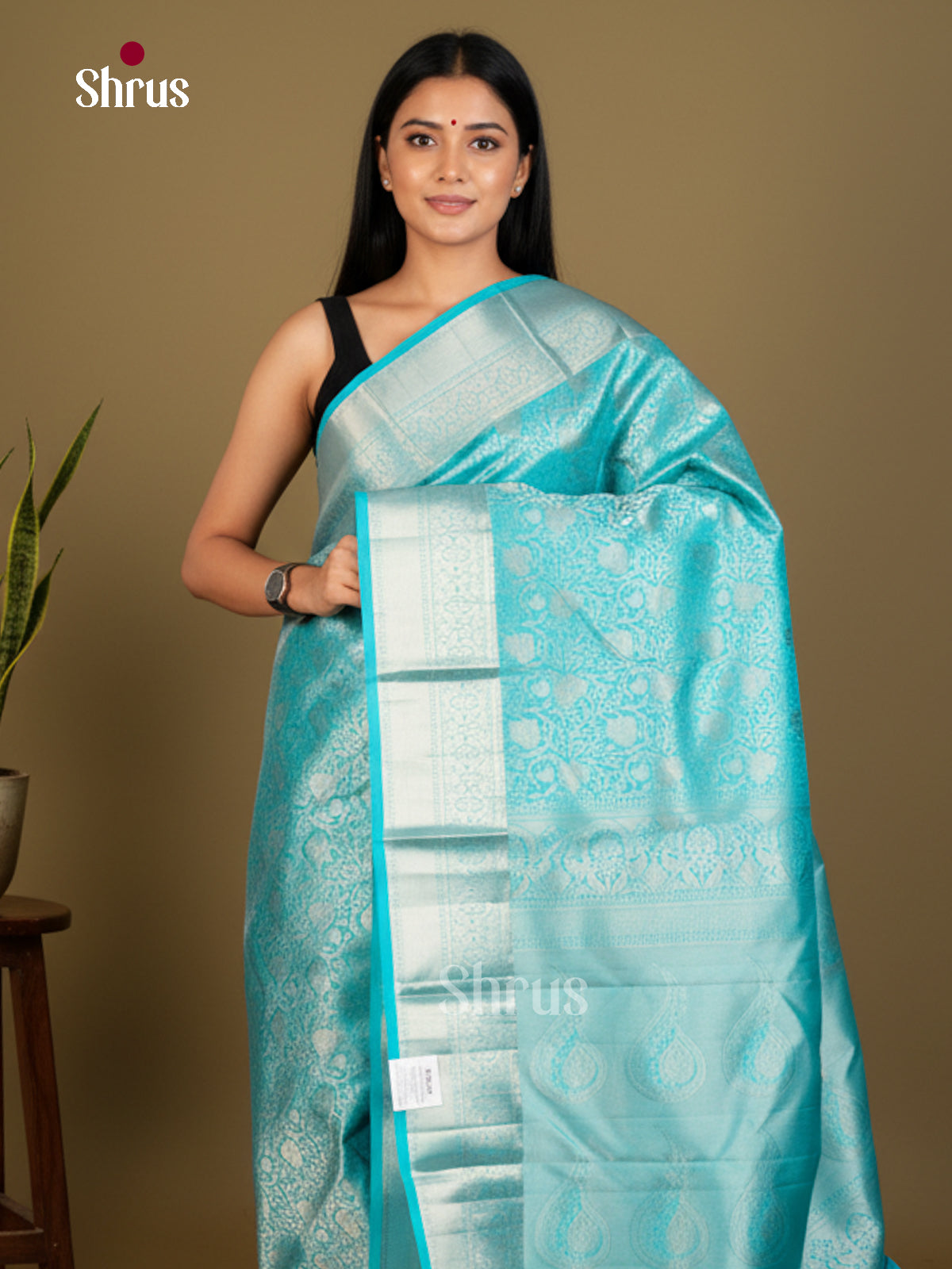 Kanchipuram silk Saree - EDS04157 - Shop on Shrus.com