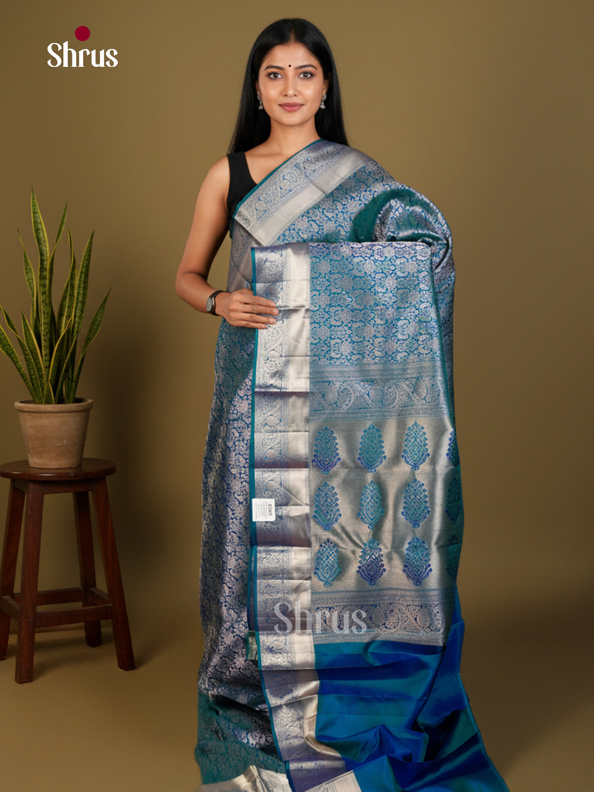 Kanchipuram silk Saree - EDS04158 - Shop on Shrus.com
