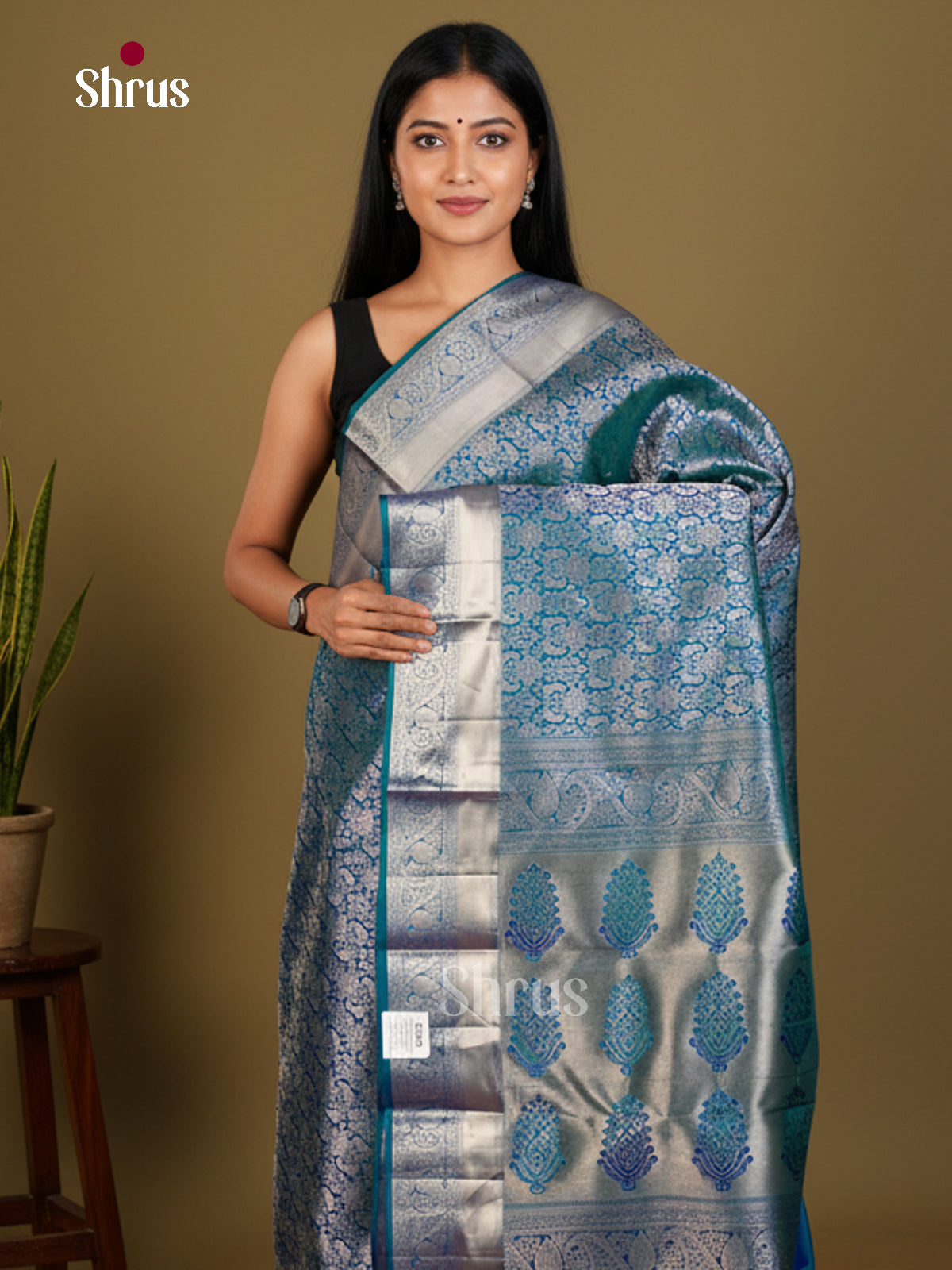Kanchipuram silk Saree - EDS04158 - Shop on Shrus.com
