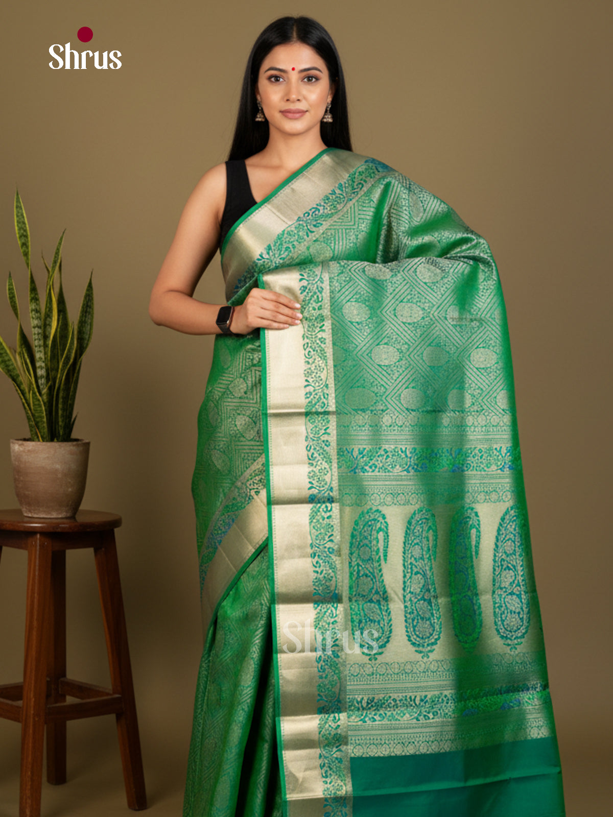 Kanchipuram silk Saree - EDS04161