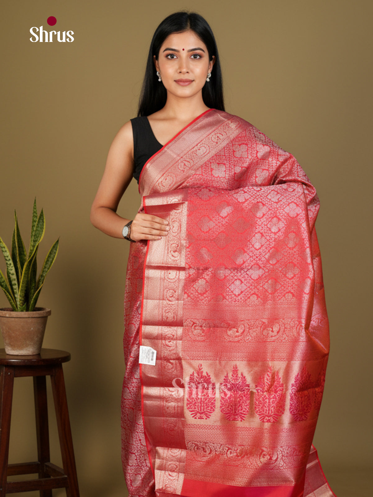 Kanchipuram silk Saree - EDS04164 - Shop on Shrus.com