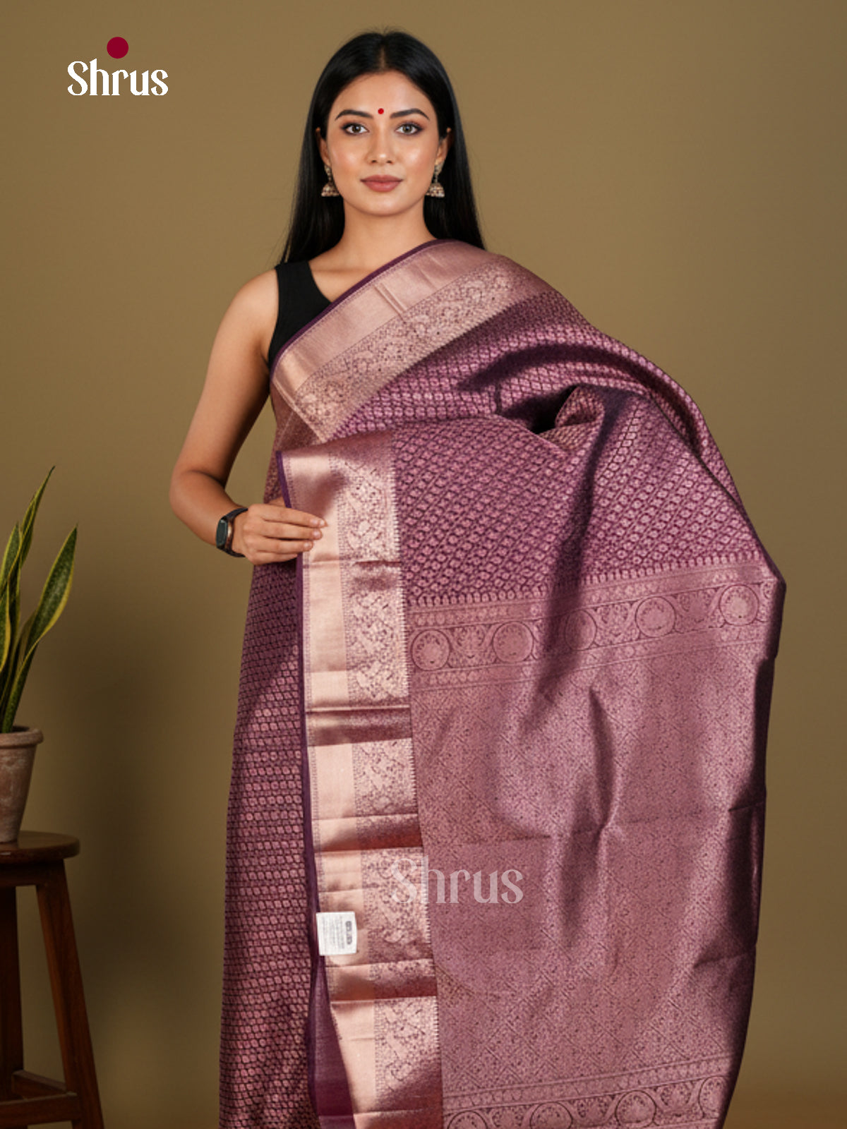 Kanchipuram silk Saree - EDS04186 - Shop on Shrus.com