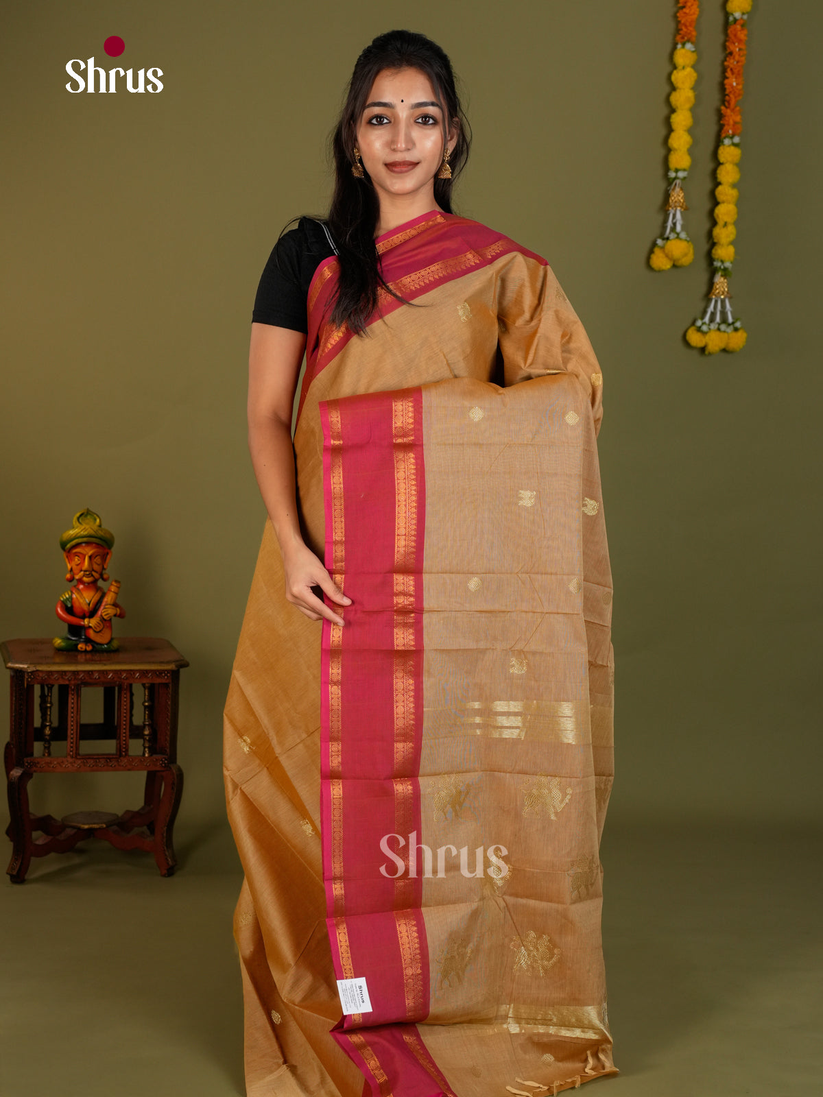 Chettinad Cotton Saree - EDS06034 - Shop on Shrus.com