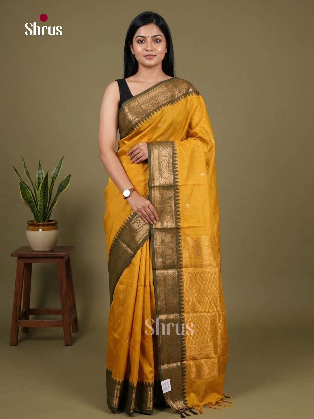 Chettinad Cotton Saree - EDS10007