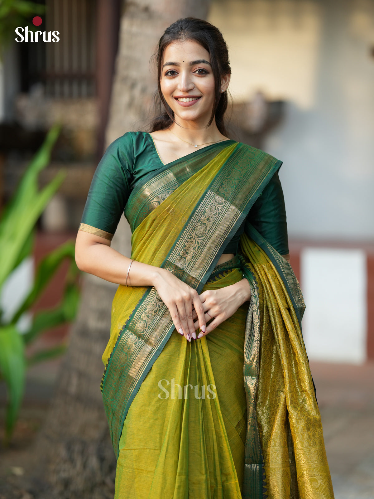 11-a Chettinad Cotton Saree - EDS10014 - Shop on Shrus.com