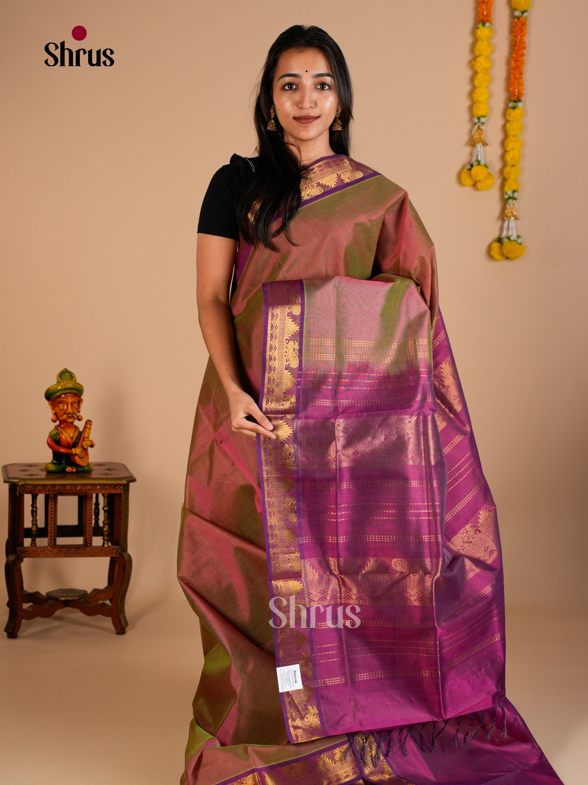 Silk Cotton Saree - EDS10036 - Shop on Shrus.com