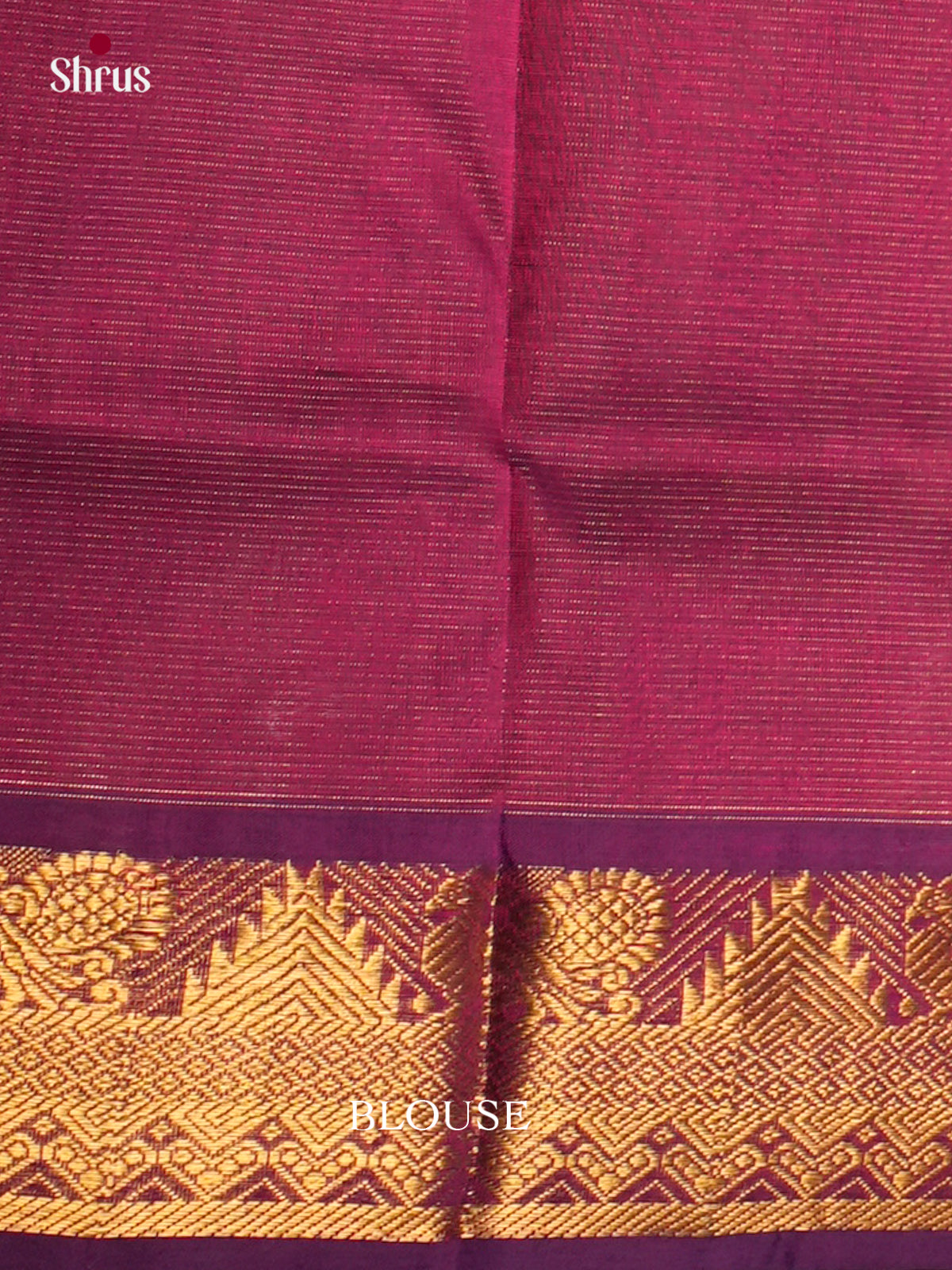 Silk Cotton Saree - EDS10036 - Shop on Shrus.com