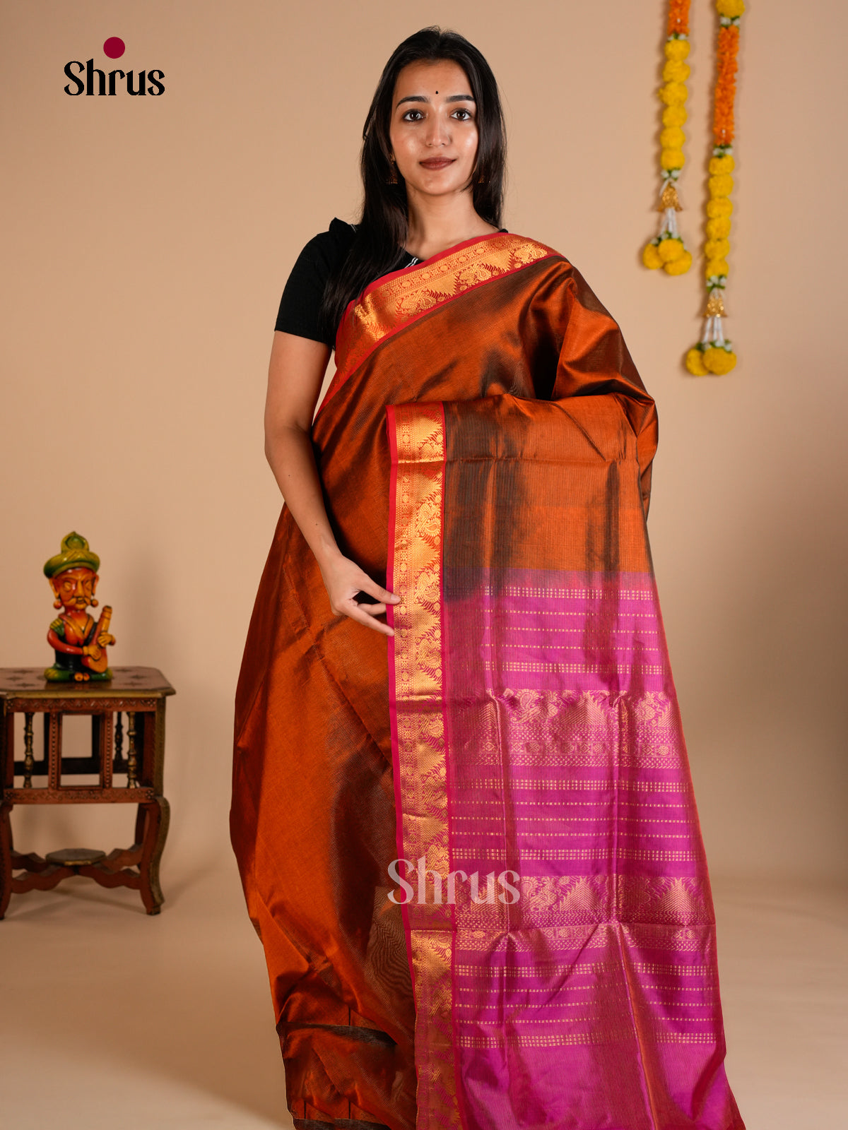 Silk Cotton Saree - EDS10038 - Shop on Shrus.com