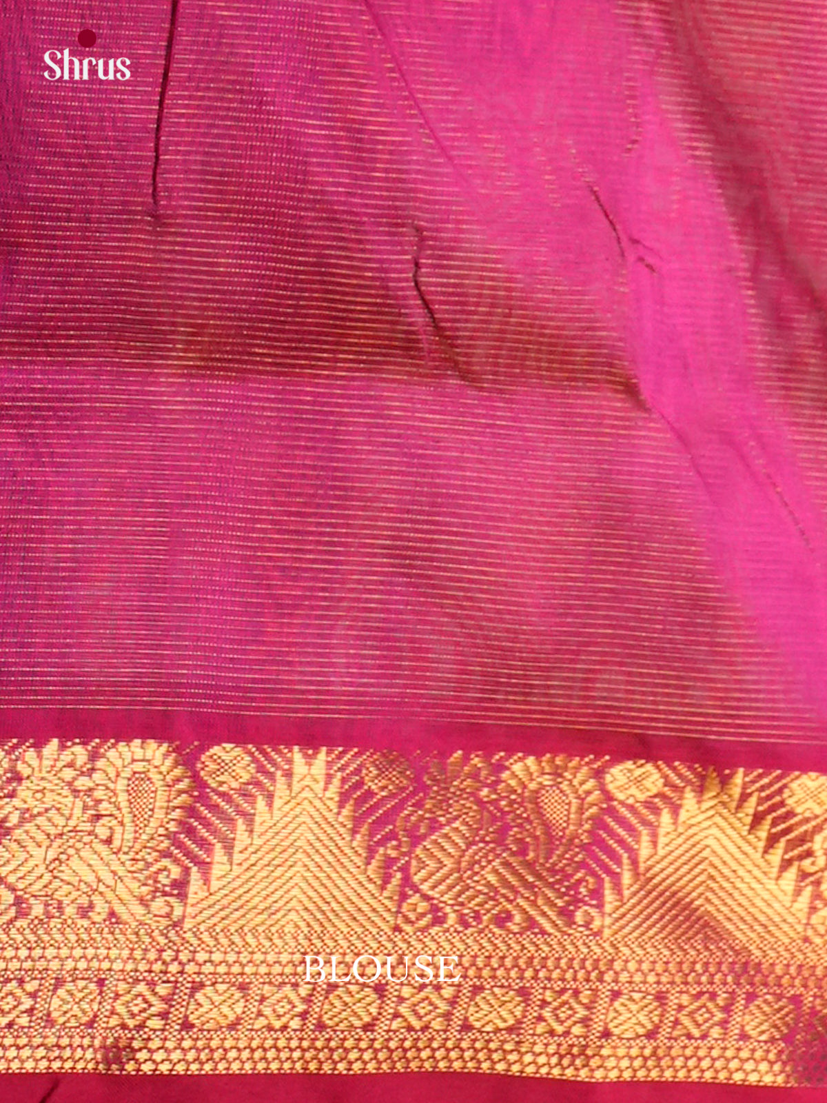 Silk Cotton Saree - EDS10038 - Shop on Shrus.com