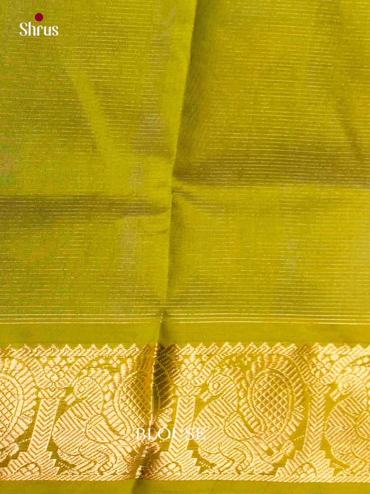 Silk Cotton Saree - EDS10041 - Shop on Shrus.com