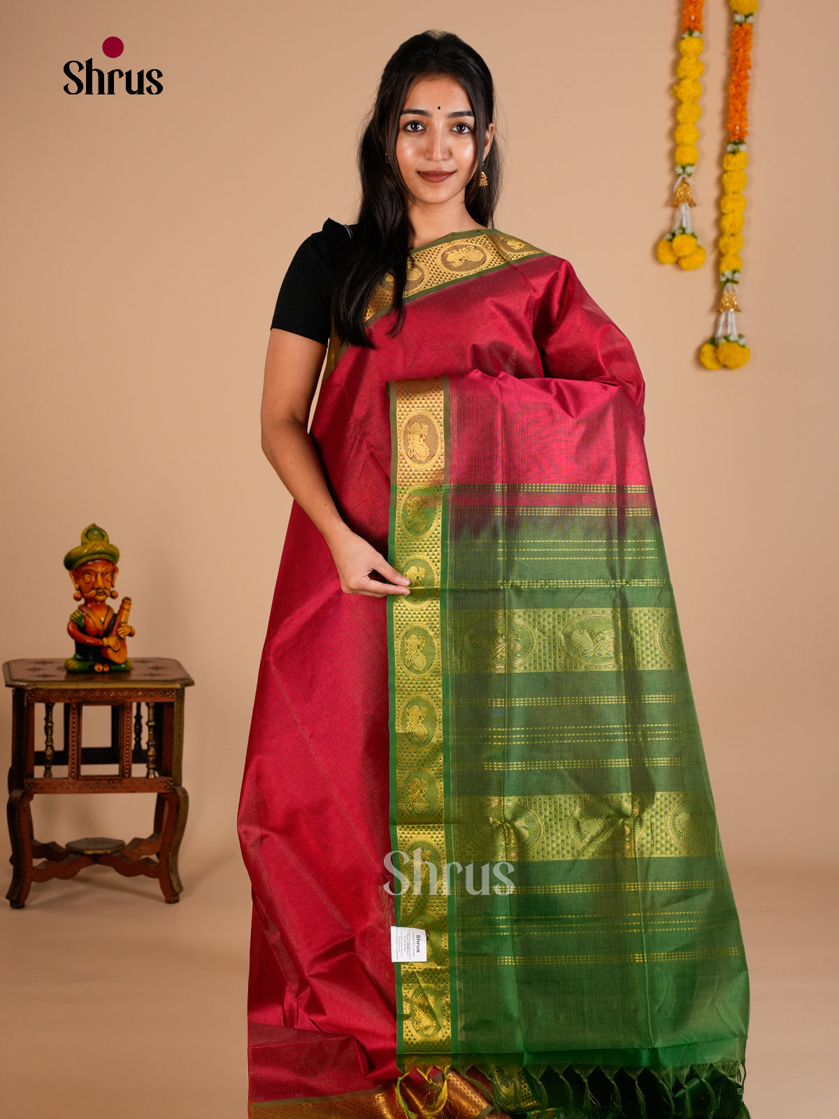 Silk Cotton Saree - EDS10053 - Shop on Shrus.com