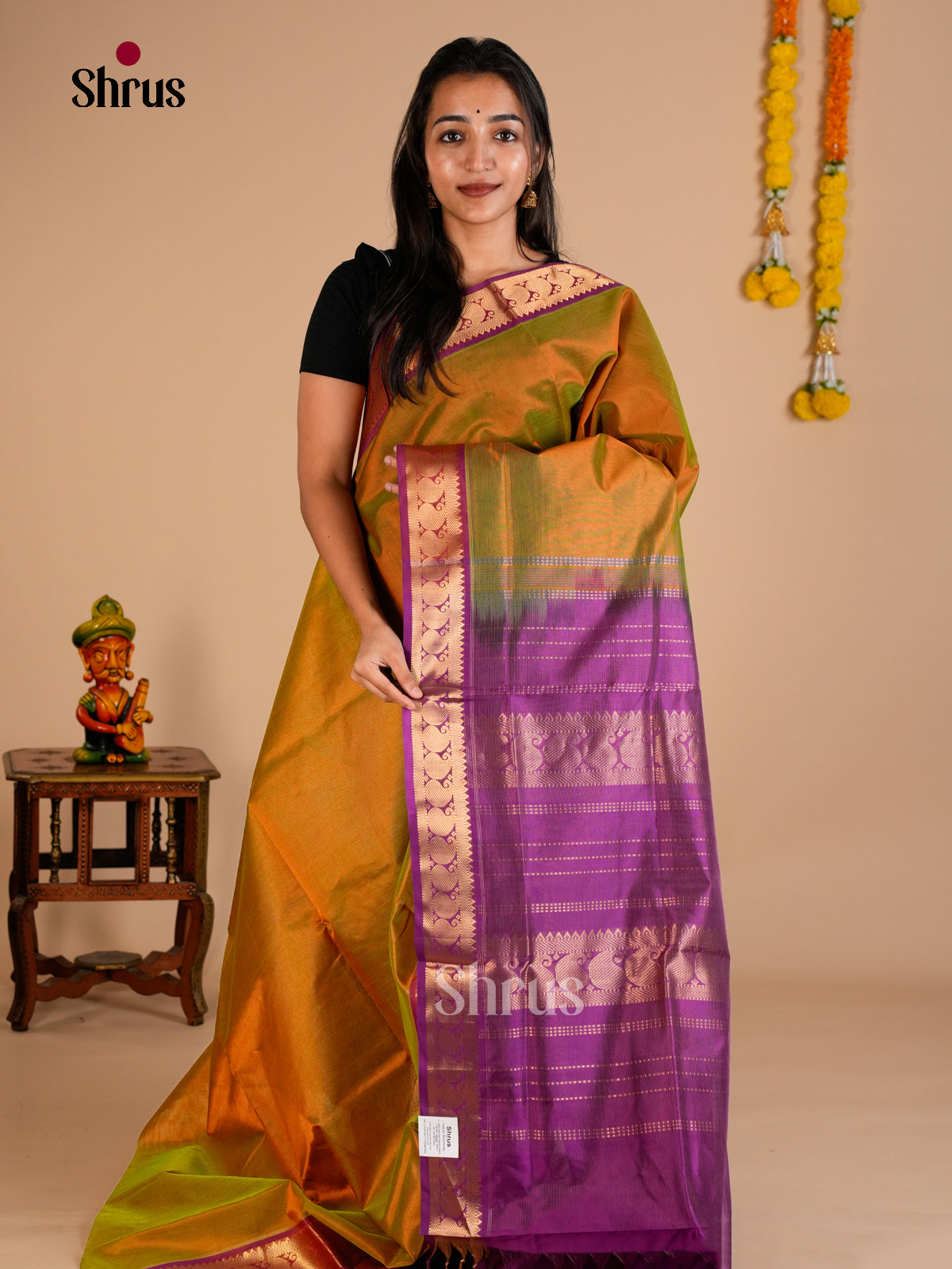 Silk Cotton Saree - EDS10054 - Shop on Shrus.com