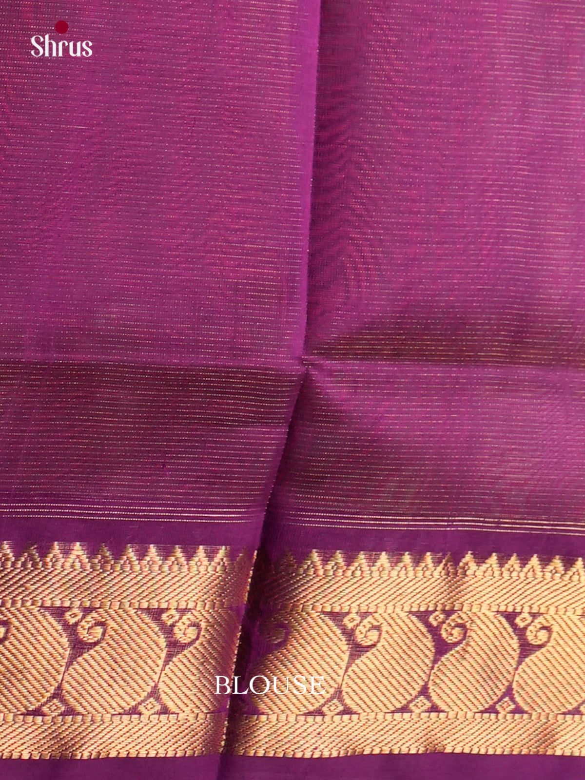 Silk Cotton Saree - EDS10054 - Shop on Shrus.com