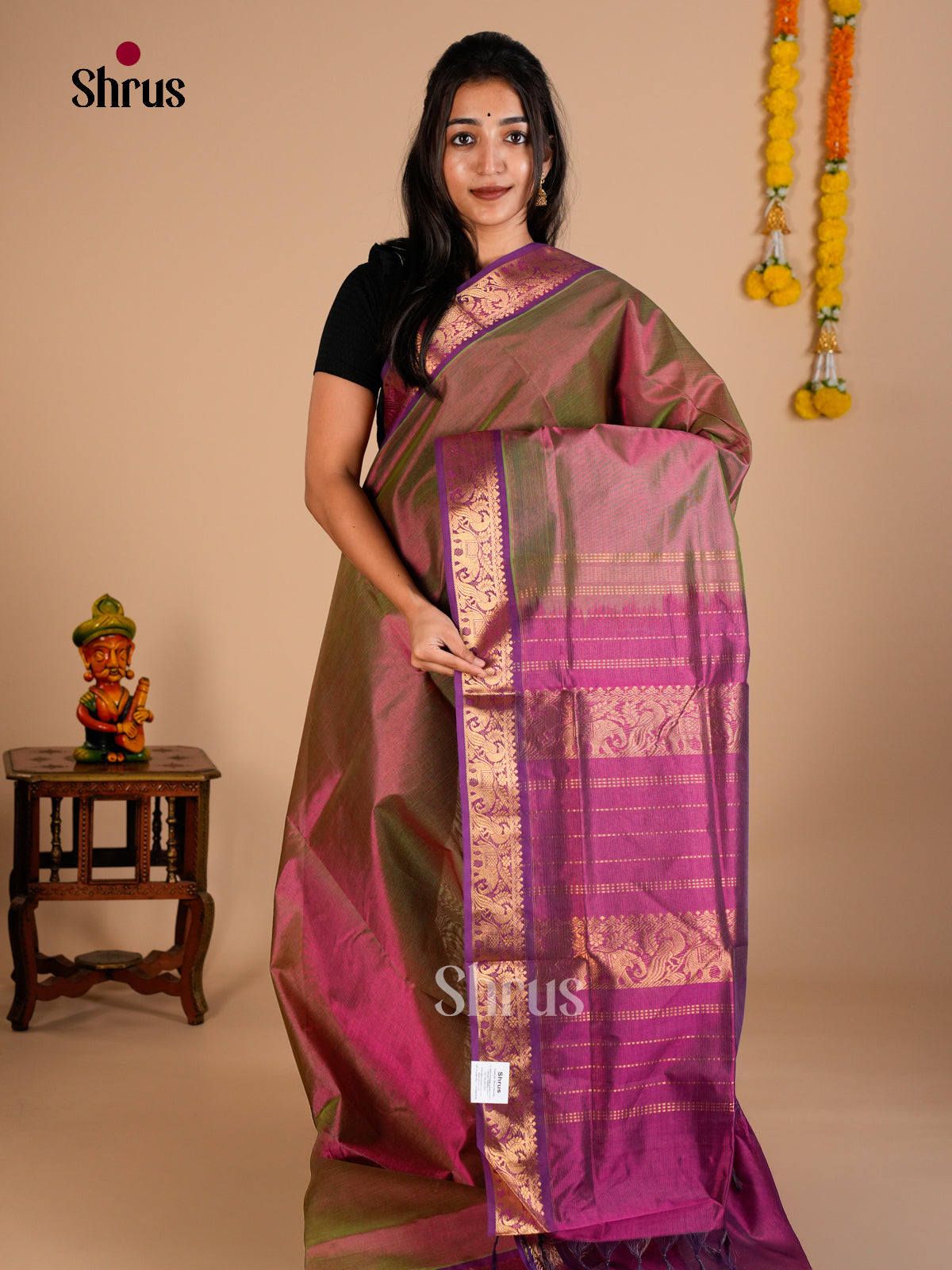 Silk Cotton Saree - EDS10059 - Shop on Shrus.com