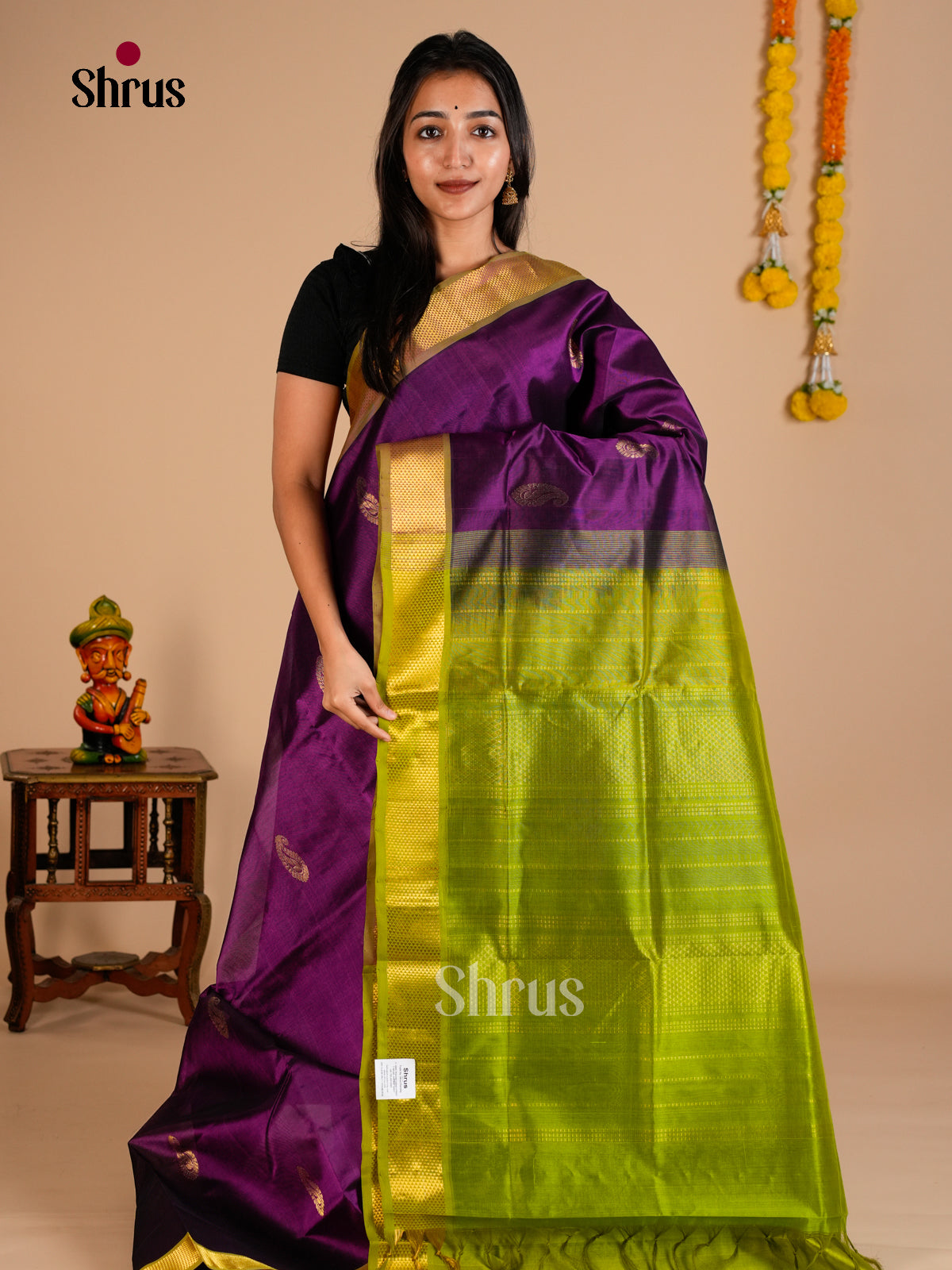 Silk Cotton Saree - EDS10064 - Shop on Shrus.com
