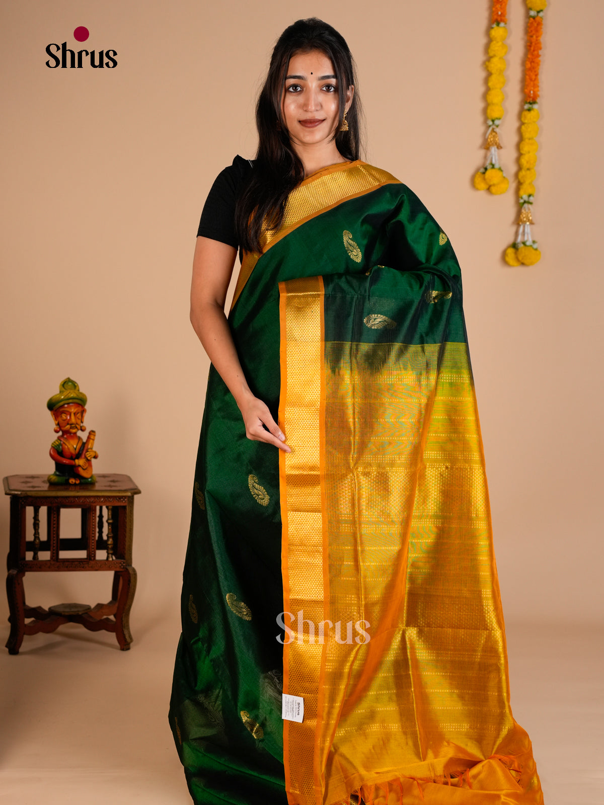 Silk Cotton Saree - EDS10065 - Shop on Shrus.com