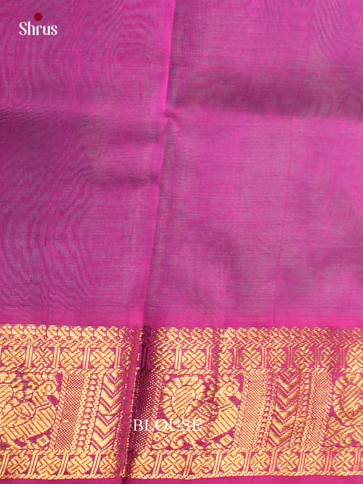 Silk Cotton Saree - EDS10072 - Shop on Shrus.com