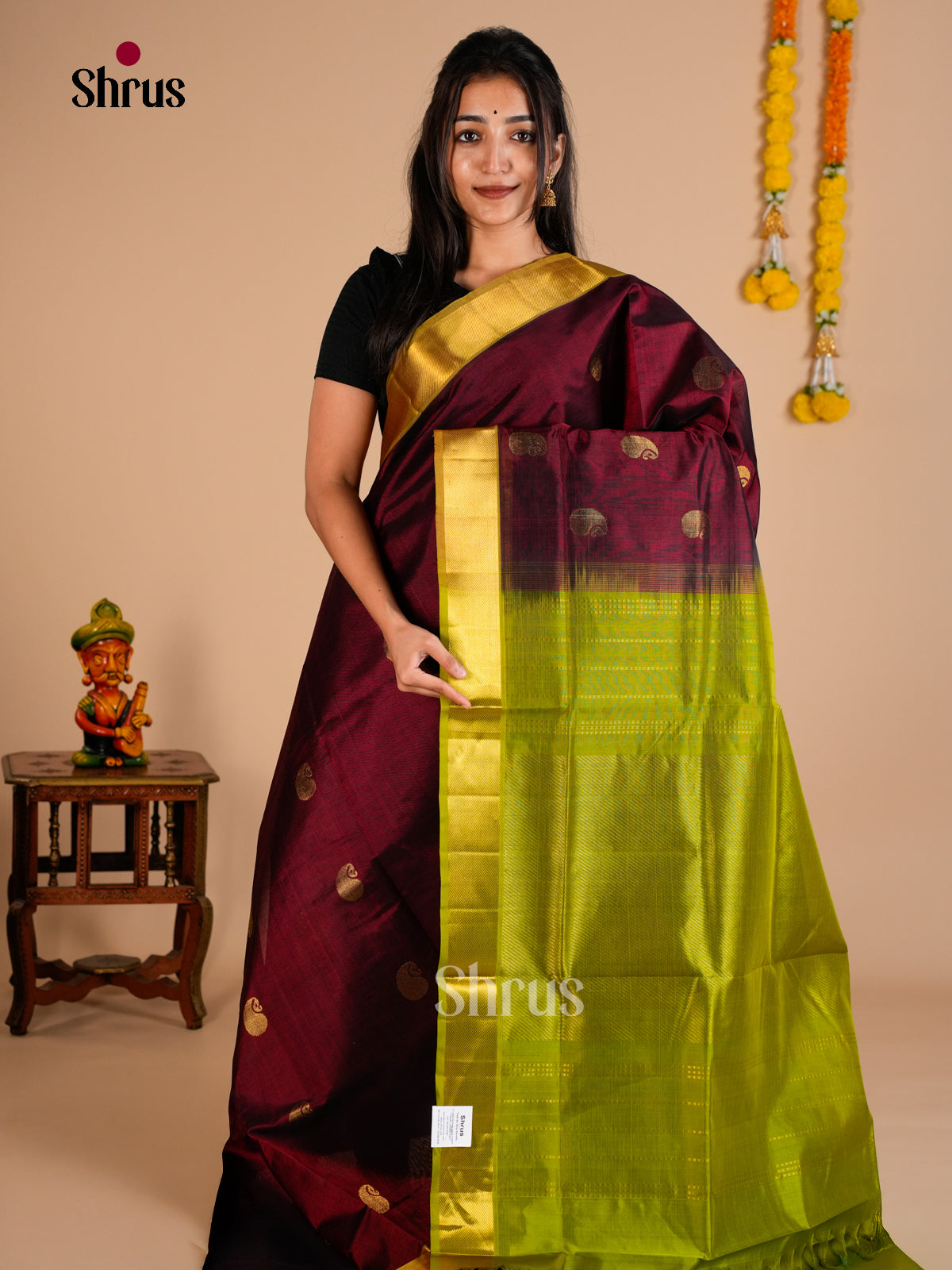 Silk Cotton Saree - EDS10076 - Shop on Shrus.com