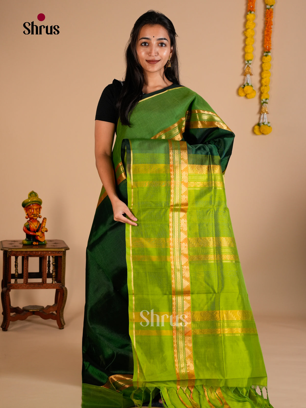 Silk Cotton Saree - EDS10081 - Shop on Shrus.com