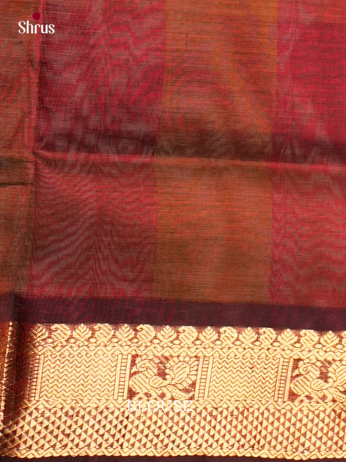 Silk Cotton Saree - EDS10091 - Shop on Shrus.com