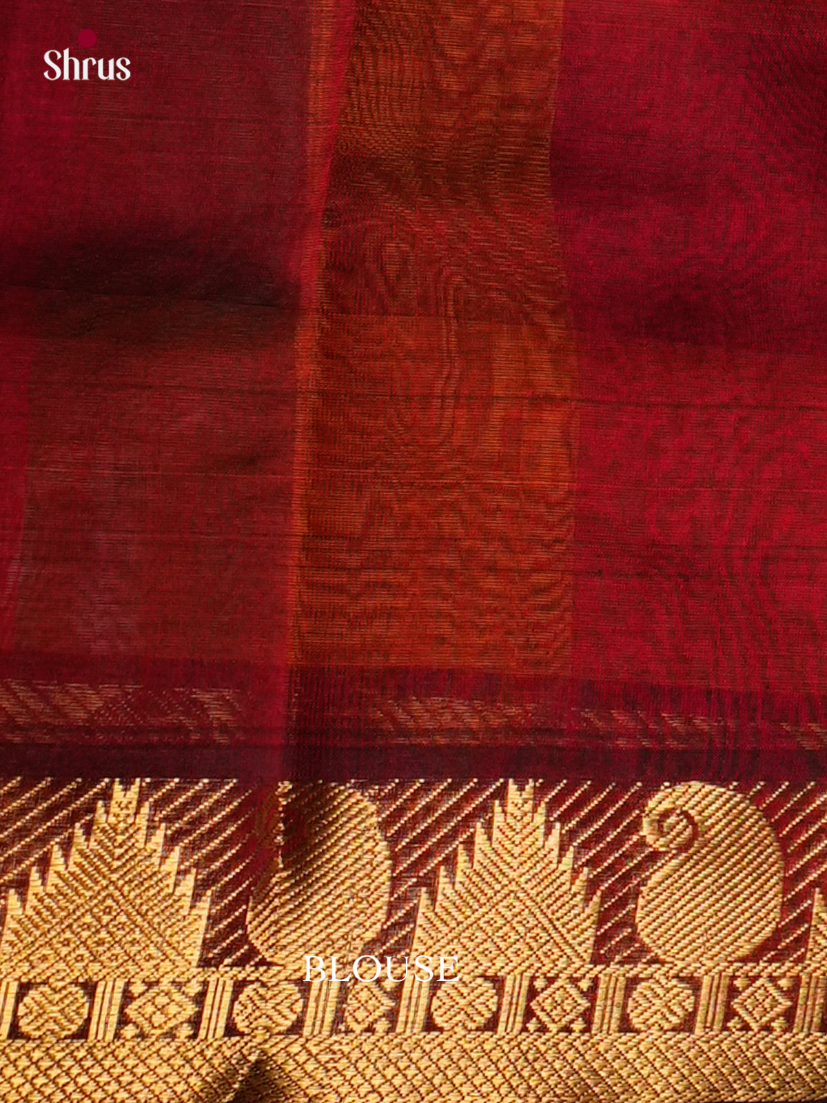 Silk Cotton Saree - EDS10094 - Shop on Shrus.com
