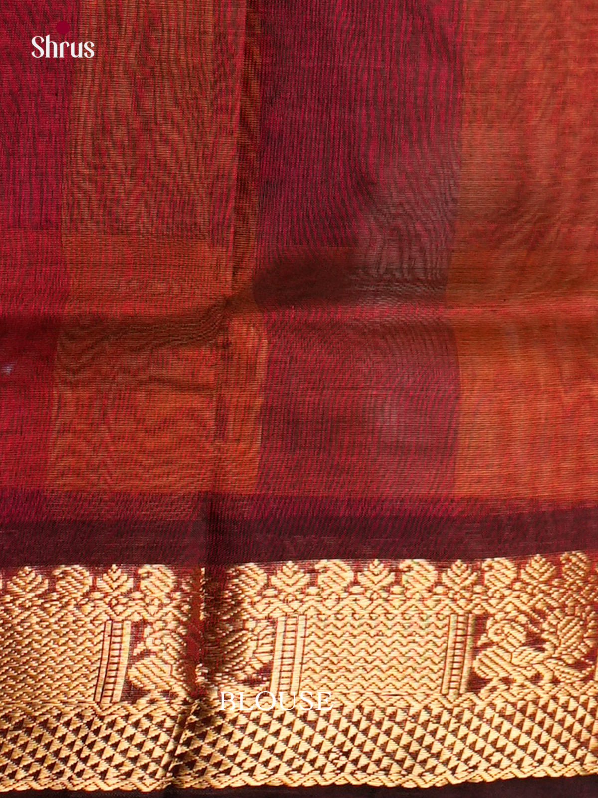 Silk Cotton Saree - EDS10100 - Shop on Shrus.com