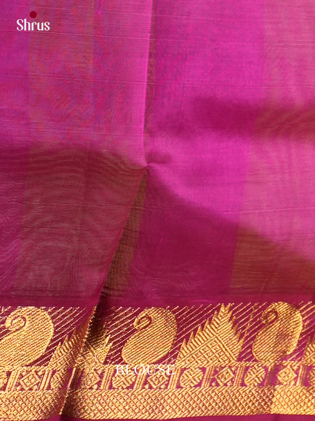 Silk Cotton Saree - EDS10101 - Shop on Shrus.com